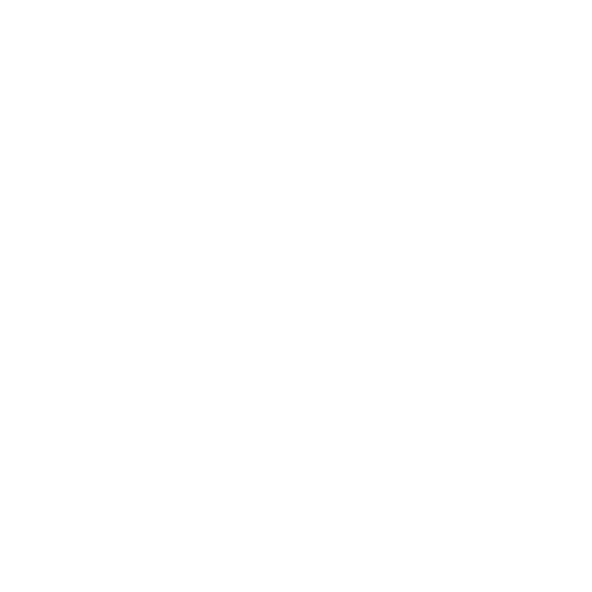 FIT Icons Werte und Respekt weiss