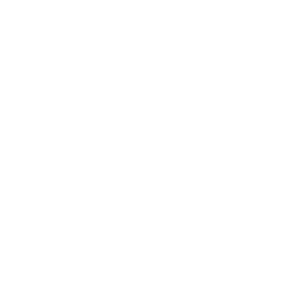 FIT Icons Werte und Verantwortungweiss