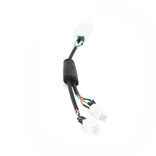 FIT câble de distribution pour Speed Node avec 3 connexions